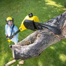 Best Lawn Irrigation Installation and Maintenance  in Decordova, TX